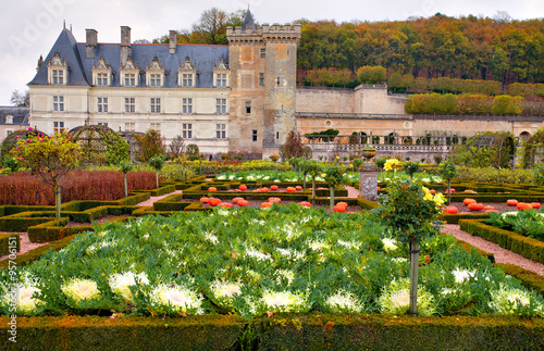 Quadro su tela Jardins du château de Villandry, château de la Loire, en automne