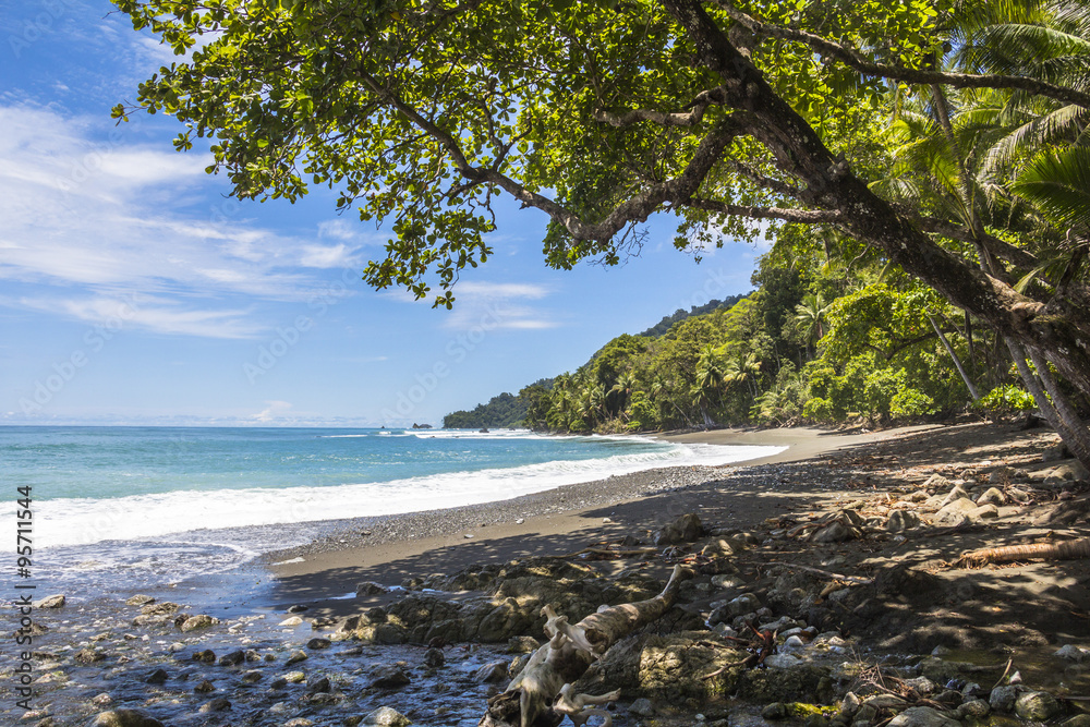 Beach and jungle in Costa Rica
