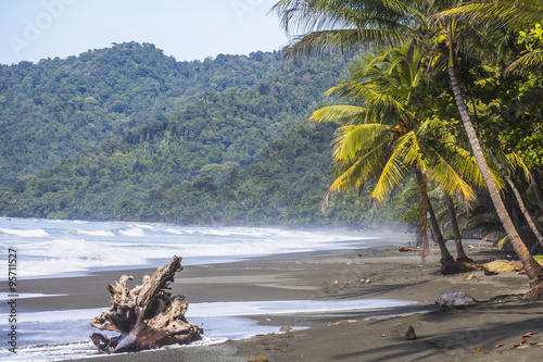 Fototapeta Naklejka Na Ścianę i Meble -  Beach and jungle in Costa Rica