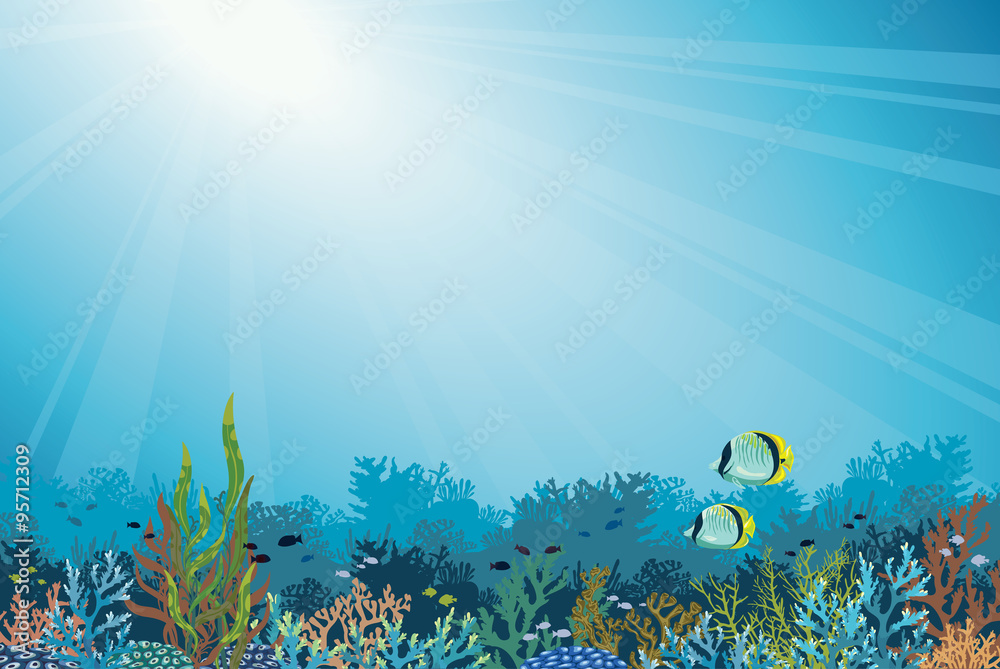 Fototapeta premium Coral reef with fish. Underwater sea.
