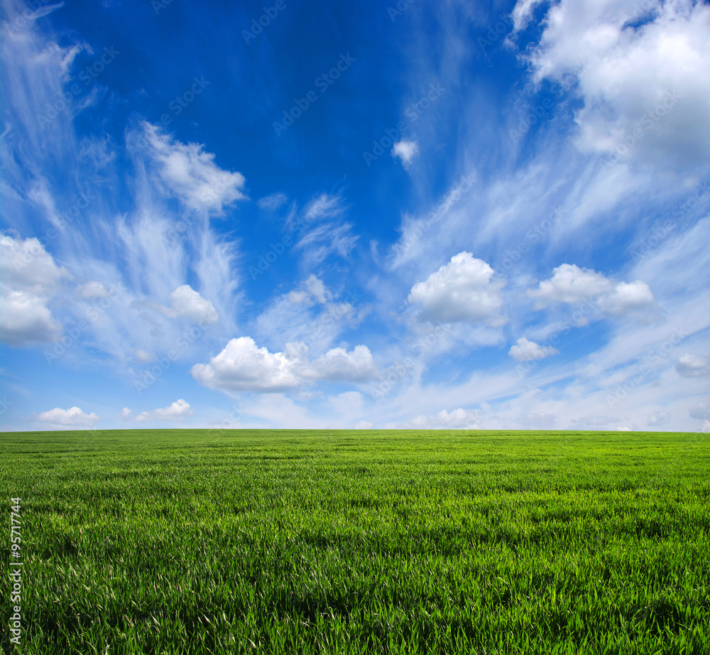 green field green field