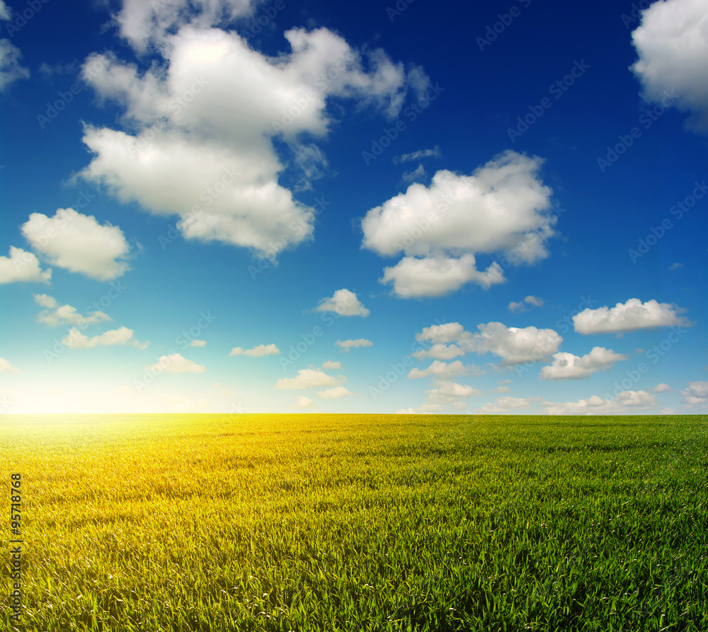 field and sun field and sun
