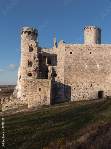  Ruins of Ogrodzieniec castle - Poland #95719155