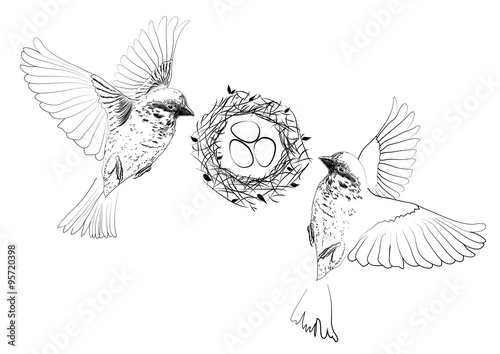 Illustration of birds flying over a nest with eggs.