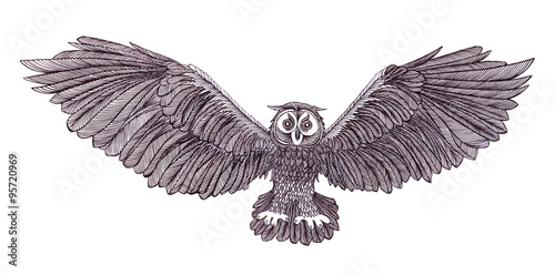 Graphic illustration of flying owl. Black and white style. Hand