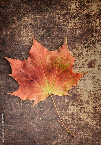 Autumn leaf on a shabby chic texture