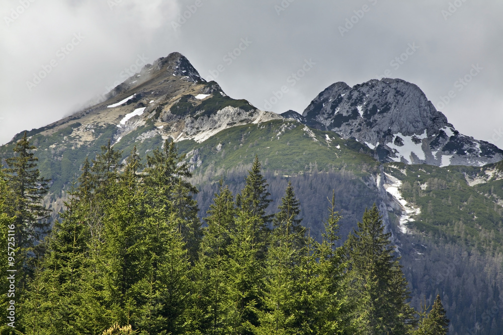 Obraz premium View of the Triglav with Pokljuka Plateau. Slovenia 