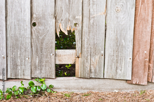 Broken fence