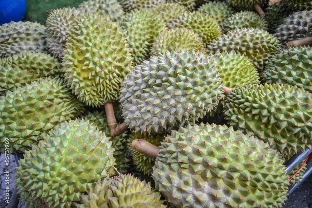 Durian Durian