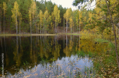 lake, forest, autumn ,marsh river