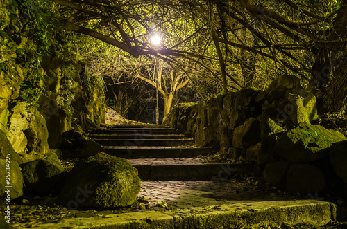 Canvas Print A terrible road with stairs in the night park paving stones paved with stone bal