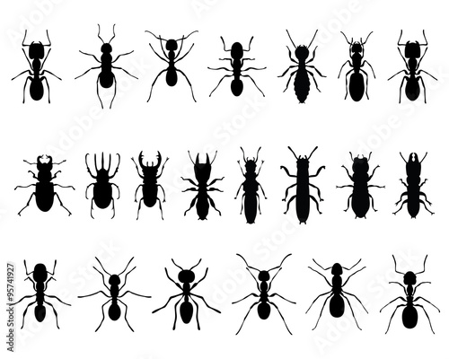 Black silhouettes of ants and termites, vector