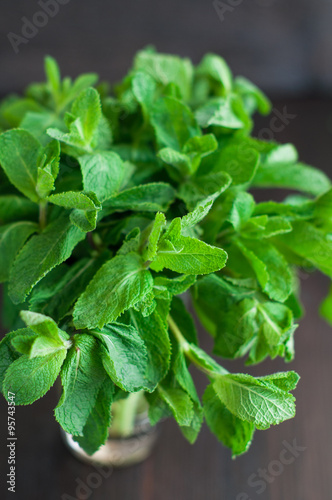 fresh mint leaves on a wooden background