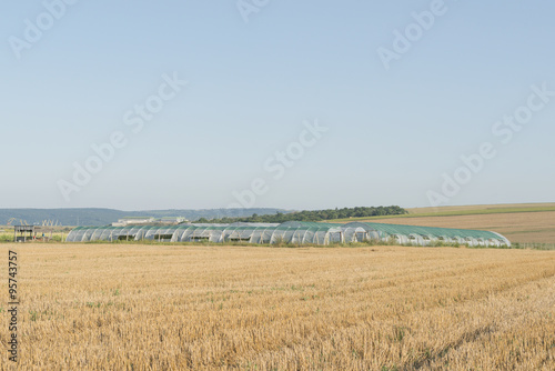 Slika na platnu hothouse in a wheat field