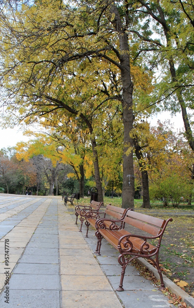 осень. Скамейки в Приморском парке г. Варна (Болгария) 
