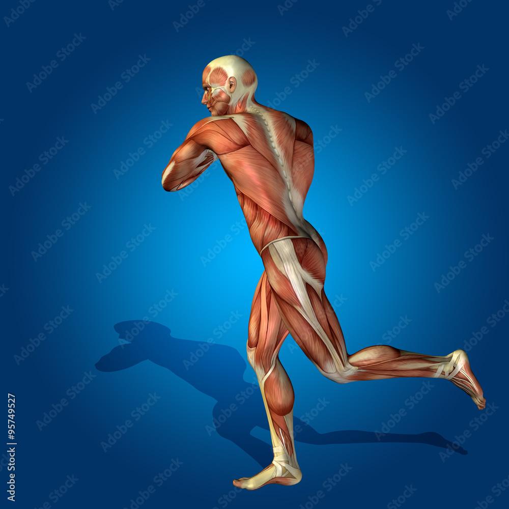 Conceptual 3D human man health anatomy Conceptual 3D human man health anatomy