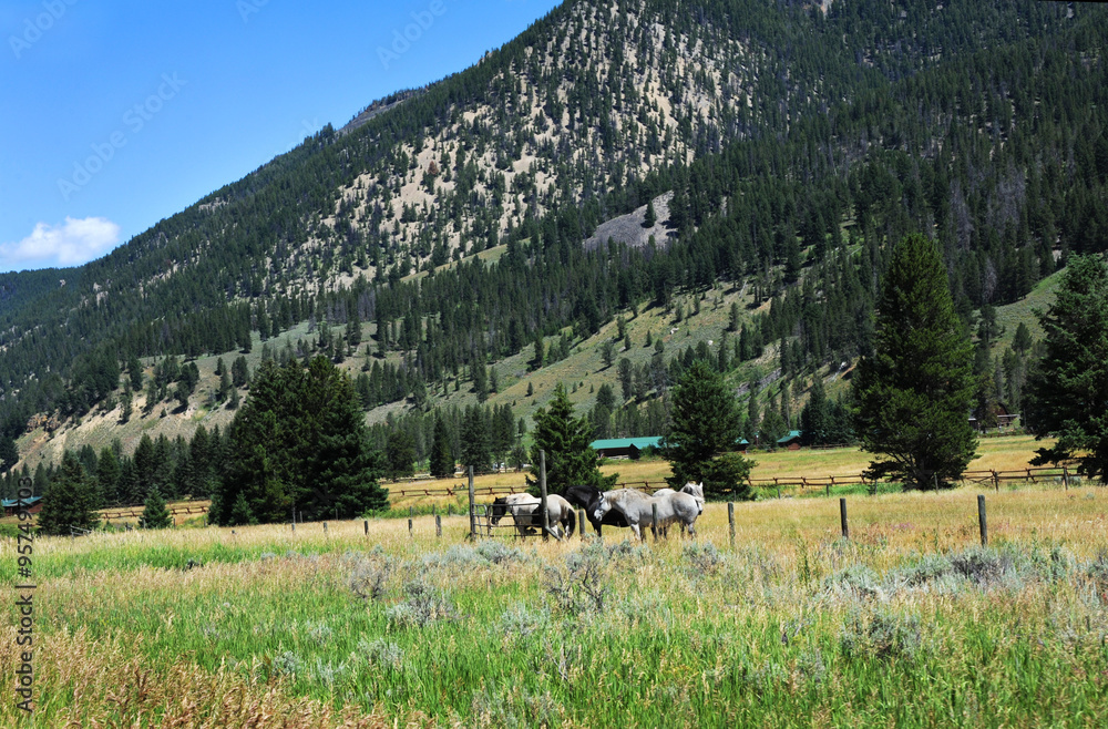 Available for vacation, a dude ranch sits at base of Gallatin Mountain.  Horses stand in corral.  