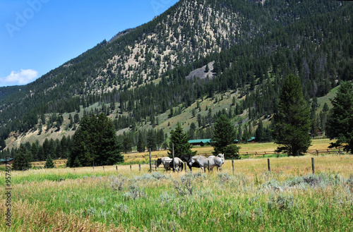 Available for vacation, a dude ranch sits at base of Gallatin Mountain. Horses stand in corral. 