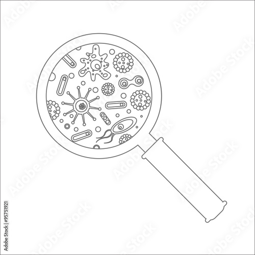 Magnifier and bacteria