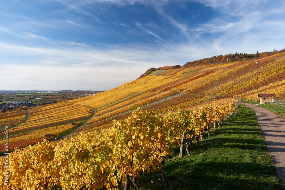 Naklejka premium Kleinheppacher Kopf im Remstal