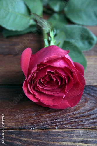 Single Rose on old rustic wood table