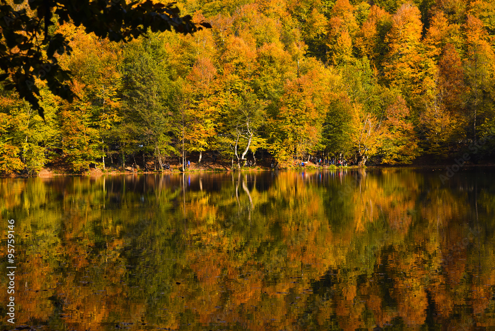 Fall trees at a lake edge of Yedigoller National Park, Turkey