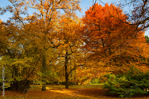 Park Bad Homburg im Herbst