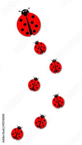 Many Ladybugs