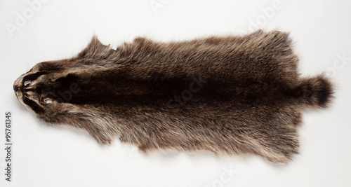 Картината върху платно Skin beaver