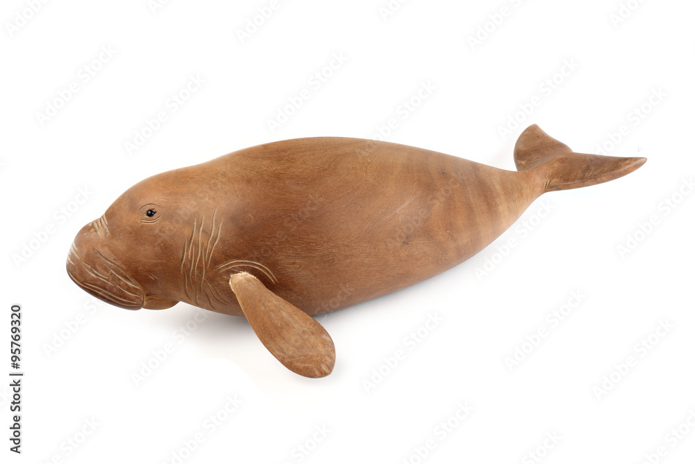 Fototapeta premium fish wood ( Fish Phayun ) isolated on white background
