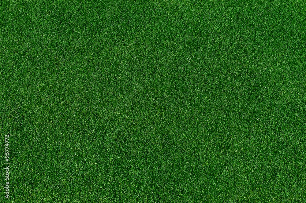 Naklejka real green grass background
