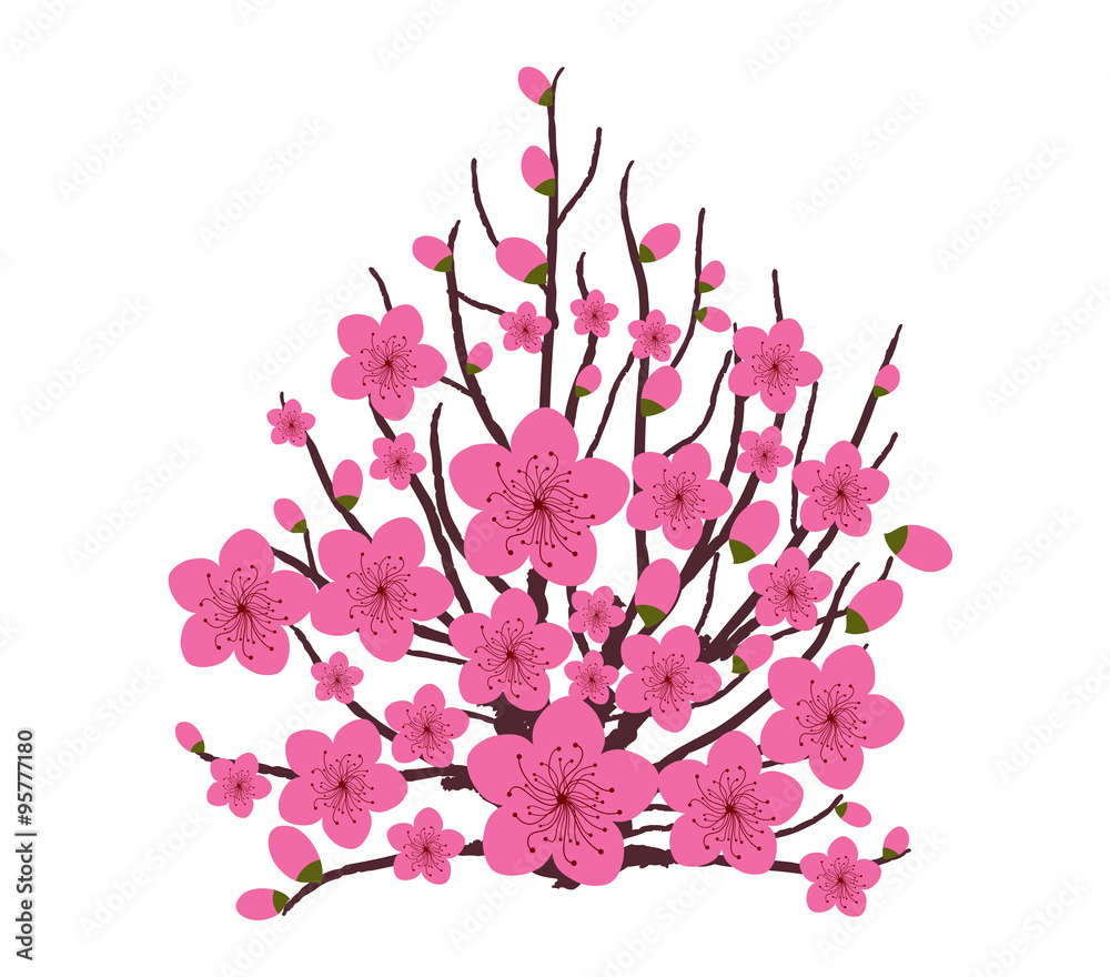 Naklejka premium Japanese plum blossom