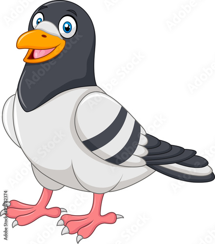 Carton funny pigeon isolated on white background