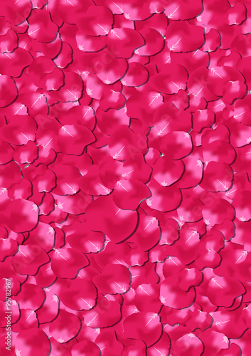 background of rose petals