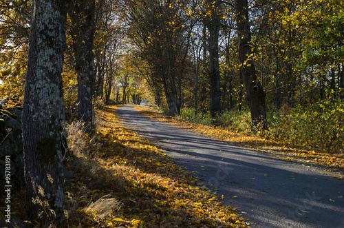 Colorful alley © olandsfokus