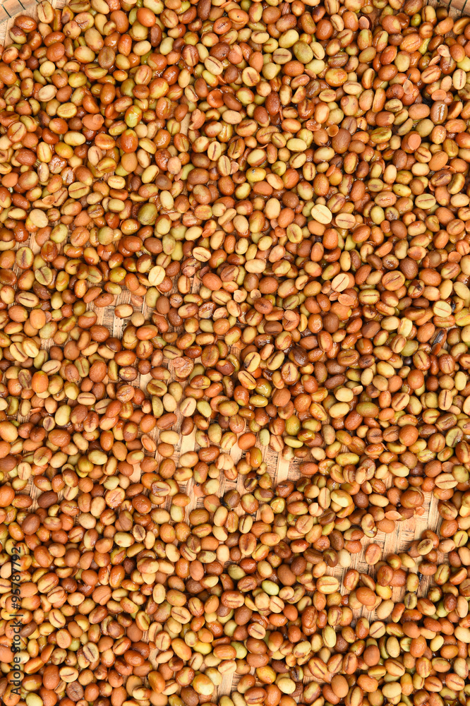 Coffee beans for backgrounds or textures Coffee beans for backgrounds or textures