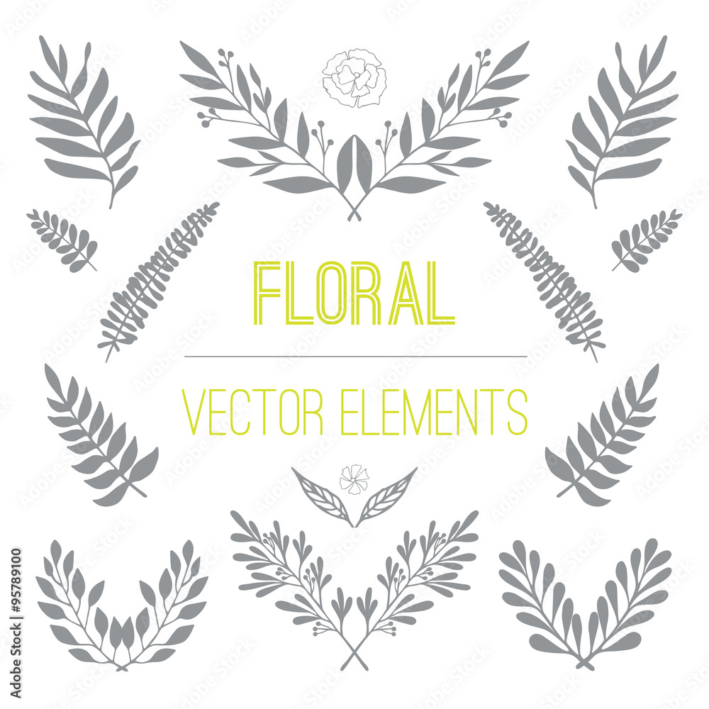 Set of hand drawn floral, nature, laurels and branches vector elements in black and white color. Decoration elements for design invitation, logo, wedding and greeting cards.