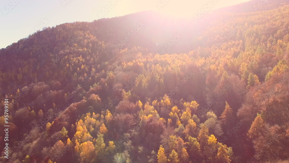 Flying with drone over woodlans in a beautiful sunny day of autumn Flying with drone over woodlans in a beautiful sunny day of autumn