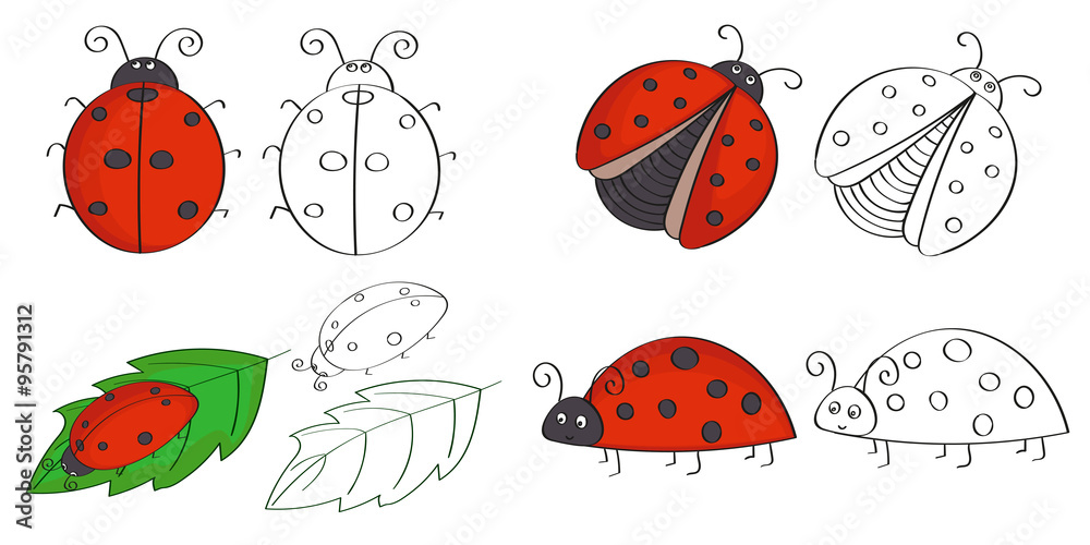 Naklejka premium Set of hand drawn ladybugs. Vector illustrations of colorful ladybirds.