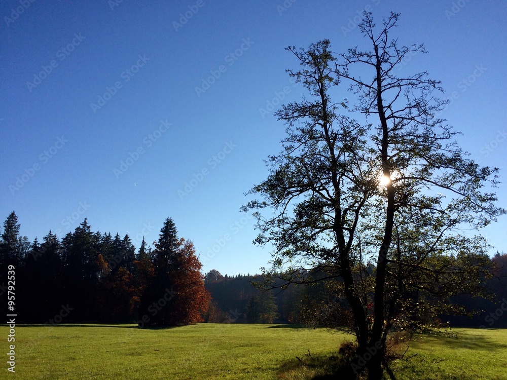 Obraz premium Ruhe finden in der Natur