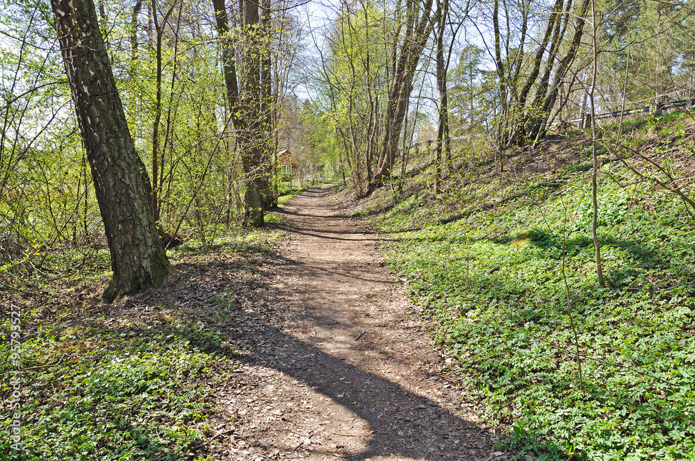 Pastoral green spring path landscape in spring forest and sunshine. Pastoral green spring path landscape in spring forest and sunshine.