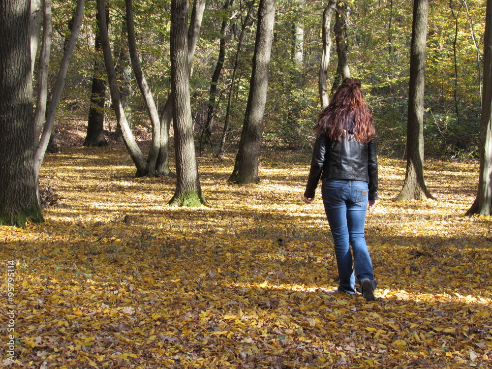 Passeggiando nel bosco