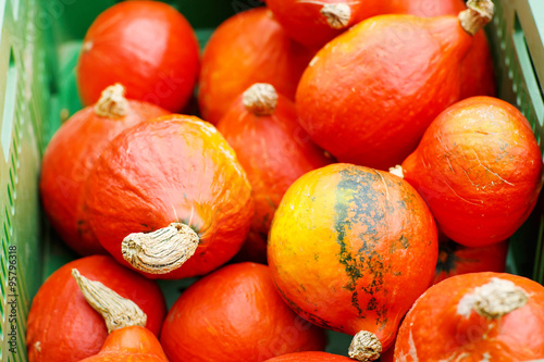 bunch of plump and juicy holiday pumpkins
