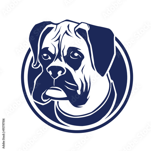 boxer head blue 