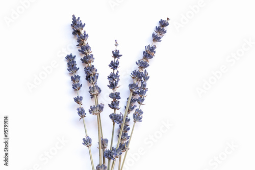Fototapeta Naklejka Na Ścianę i Meble -  Lavender flowers