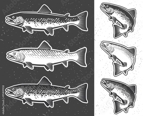 Trout fishing. Vintage trout fishing emblems, labels and design elements 