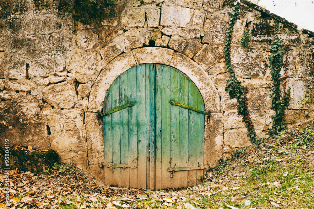 Old cellar door Stock Photo Adobe Stock