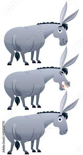 Donkey / Cartoon donkey over white background in 3 versions.