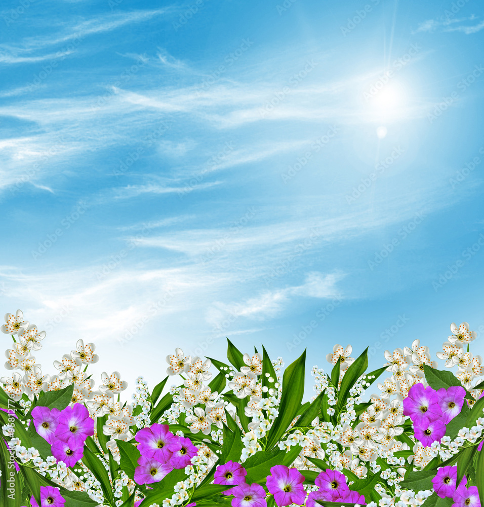 Obraz premium Branch of the cherry blossoms against the blue sky with clouds
