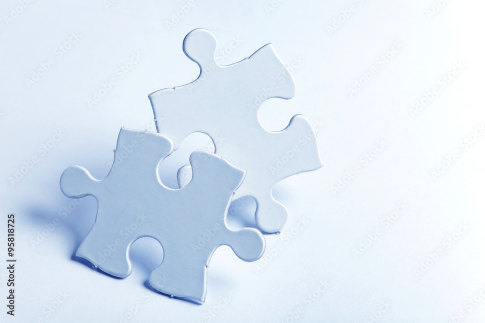 Obraz premium Blank Puzzle